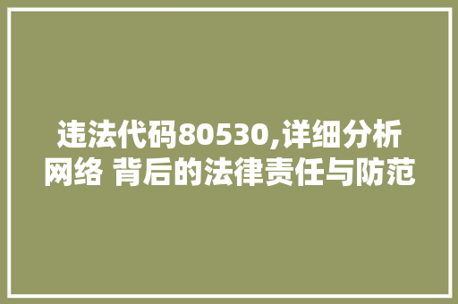 违法代码80530,详细分析网络 背后的法律责任与防范措施