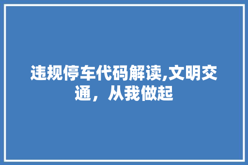 违规停车代码解读,文明交通，从我做起