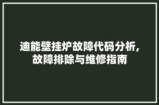 迪能壁挂炉故障代码分析,故障排除与维修指南