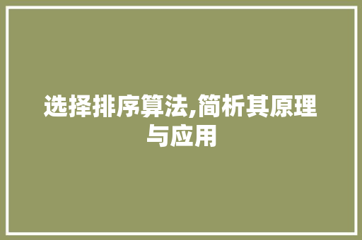 选择排序算法,简析其原理与应用