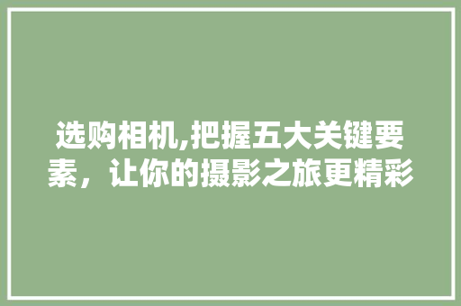 选购相机,把握五大关键要素，让你的摄影之旅更精彩