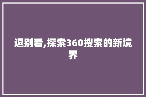 逗别看,探索360搜索的新境界