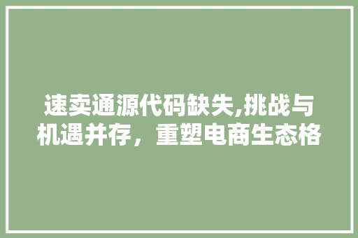 速卖通源代码缺失,挑战与机遇并存，重塑电商生态格局