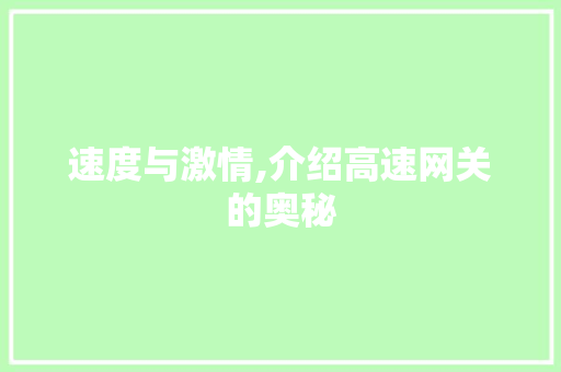 速度与激情,介绍高速网关的奥秘