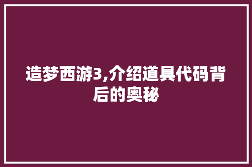 造梦西游3,介绍道具代码背后的奥秘