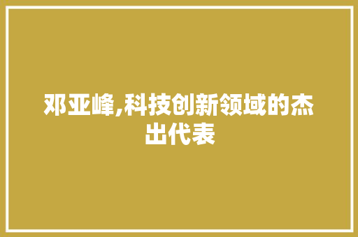 邓亚峰,科技创新领域的杰出代表