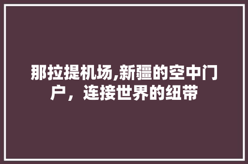 那拉提机场,新疆的空中门户，连接世界的纽带