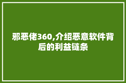 邪恶佬360,介绍恶意软件背后的利益链条