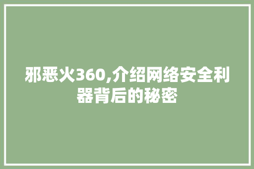 邪恶火360,介绍网络安全利器背后的秘密