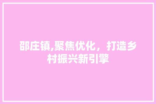 邵庄镇,聚焦优化，打造乡村振兴新引擎