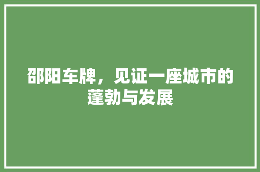 邵阳车牌，见证一座城市的蓬勃与发展