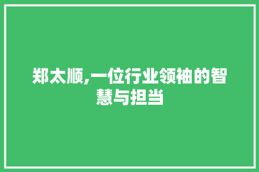 郑太顺,一位行业领袖的智慧与担当