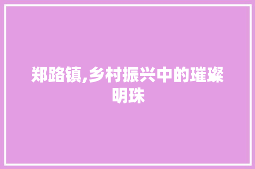 郑路镇,乡村振兴中的璀璨明珠