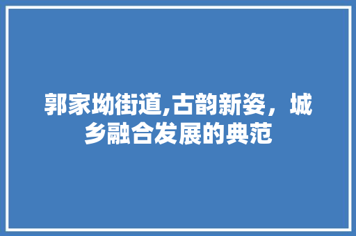 郭家坳街道,古韵新姿，城乡融合发展的典范