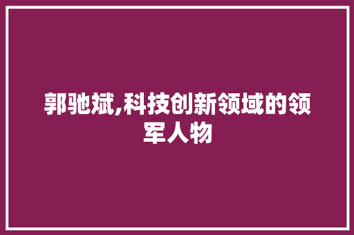 郭驰斌,科技创新领域的领军人物