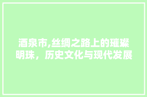 酒泉市,丝绸之路上的璀璨明珠，历史文化与现代发展的完美融合