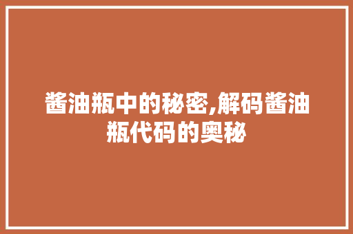 酱油瓶中的秘密,解码酱油瓶代码的奥秘