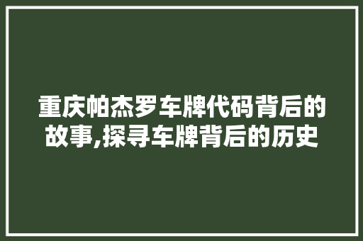 重庆帕杰罗车牌代码背后的故事,探寻车牌背后的历史与文化