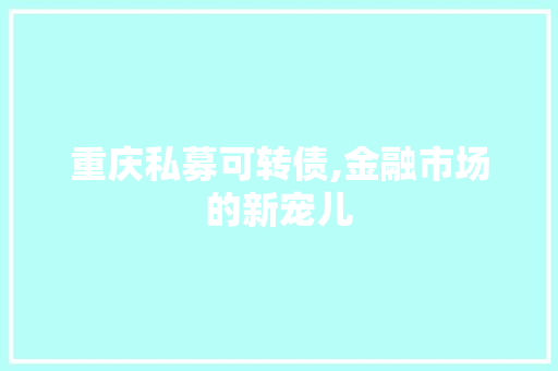 重庆私募可转债,金融市场的新宠儿