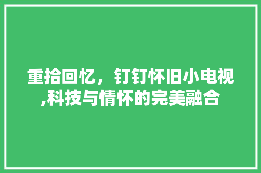 重拾回忆，钉钉怀旧小电视,科技与情怀的完美融合