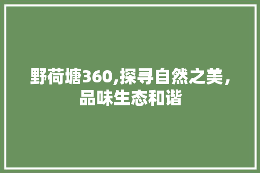 野荷塘360,探寻自然之美，品味生态和谐