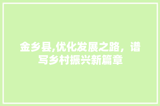 金乡县,优化发展之路，谱写乡村振兴新篇章