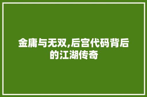 金庸与无双,后宫代码背后的江湖传奇