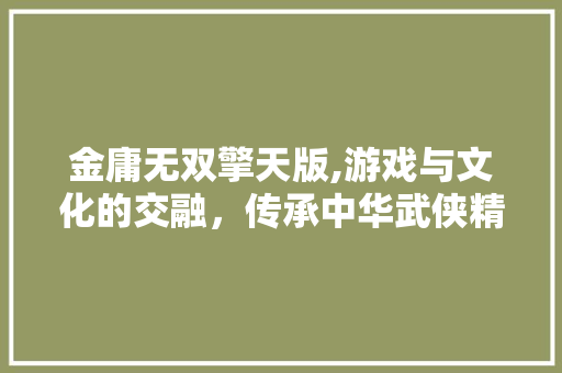 金庸无双擎天版,游戏与文化的交融，传承中华武侠精神