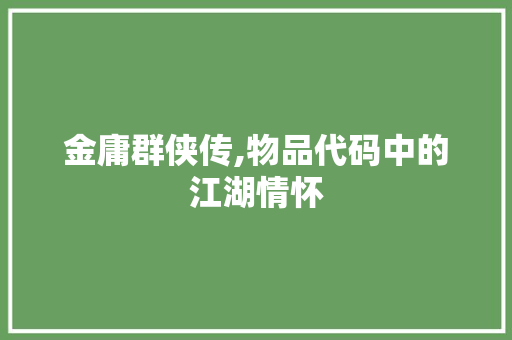 金庸群侠传,物品代码中的江湖情怀