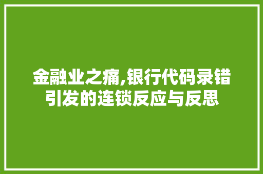 金融业之痛,银行代码录错引发的连锁反应与反思