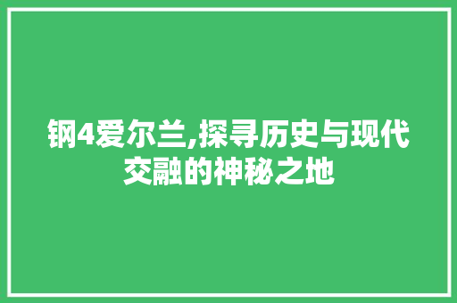 钢4爱尔兰,探寻历史与现代交融的神秘之地