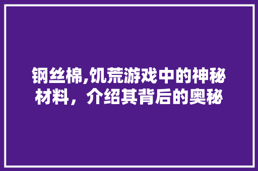 钢丝棉,饥荒游戏中的神秘材料，介绍其背后的奥秘