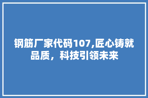 钢筋厂家代码107,匠心铸就品质，科技引领未来