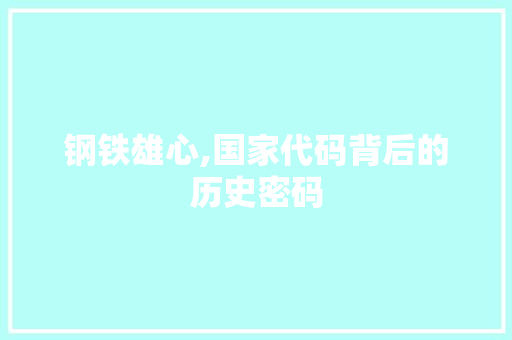 钢铁雄心,国家代码背后的历史密码