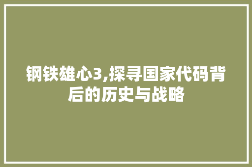 钢铁雄心3,探寻国家代码背后的历史与战略