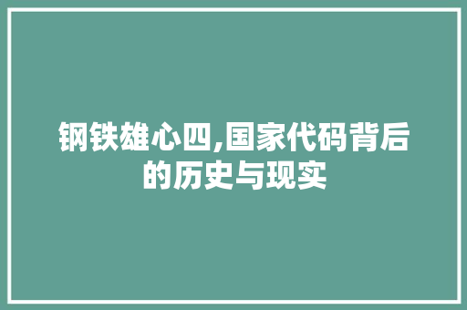 钢铁雄心四,国家代码背后的历史与现实