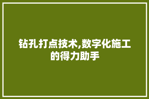 钻孔打点技术,数字化施工的得力助手