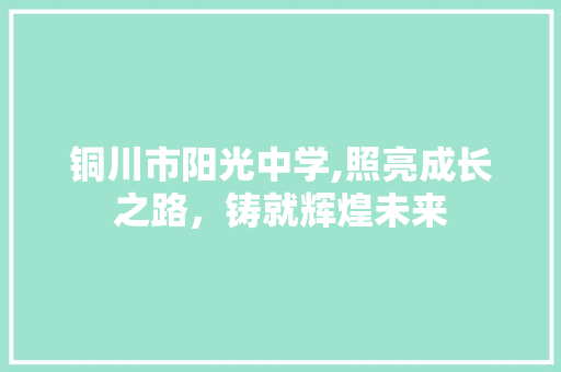 铜川市阳光中学,照亮成长之路，铸就辉煌未来