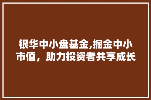 银华中小盘基金,掘金中小市值，助力投资者共享成长红利