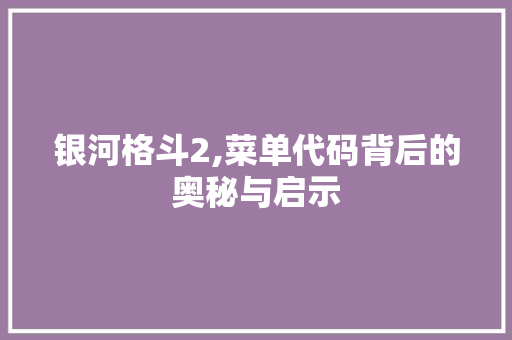 银河格斗2,菜单代码背后的奥秘与启示