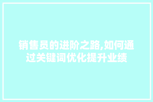 销售员的进阶之路,如何通过关键词优化提升业绩