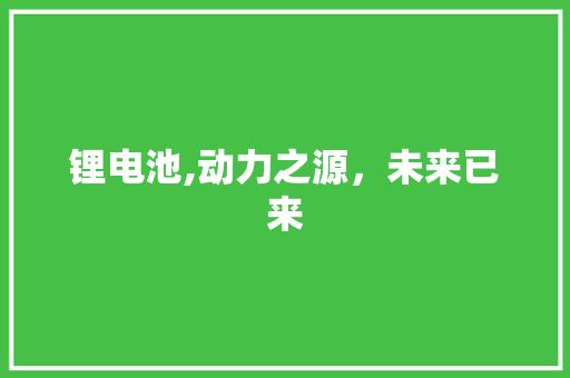 锂电池,动力之源，未来已来