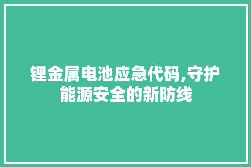 锂金属电池应急代码,守护能源安全的新防线