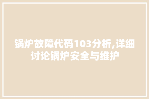 锅炉故障代码103分析,详细讨论锅炉安全与维护