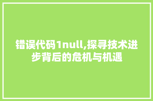 错误代码1null,探寻技术进步背后的危机与机遇