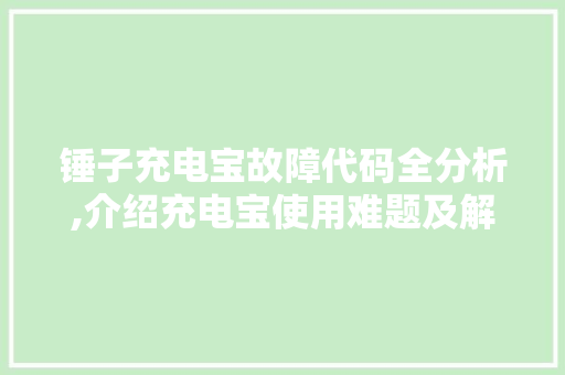 锤子充电宝故障代码全分析,介绍充电宝使用难题及解决之路