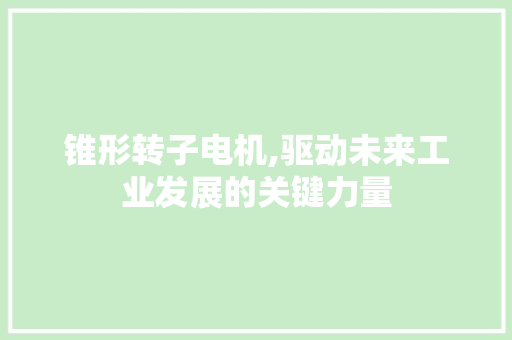 锥形转子电机,驱动未来工业发展的关键力量