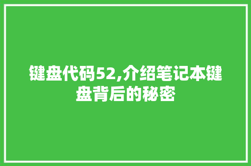 键盘代码52,介绍笔记本键盘背后的秘密