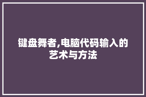 键盘舞者,电脑代码输入的艺术与方法