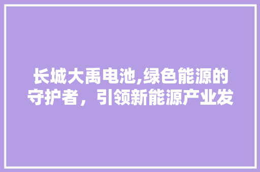 长城大禹电池,绿色能源的守护者，引领新能源产业发展新篇章